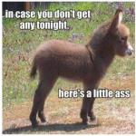 post-6264-0-24153800-1360865338_thumb.jp