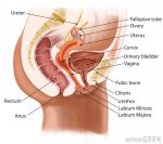 post-3027-0-10509400-1363994025_thumb.jp