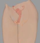 post-3205-0-02546900-1363977230_thumb.jp