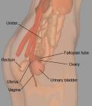 post-3205-0-30659000-1363995129_thumb.jp