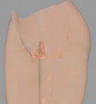 post-3205-0-76023900-1363977213_thumb.jp