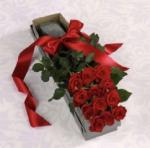 post-561062-0-41787900-1442685981_thumb.